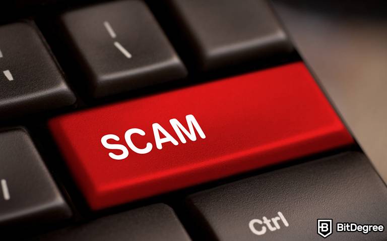 You are currently viewing Solidus Labs Says It Detected 15 Newly Opened Scams An Hour