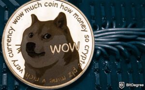 Read more about the article DOGE Price Grows 40% After Twitter Crypto Wallet Rumours