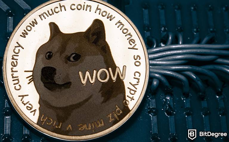 You are currently viewing DOGE Price Grows 40% After Twitter Crypto Wallet Rumours