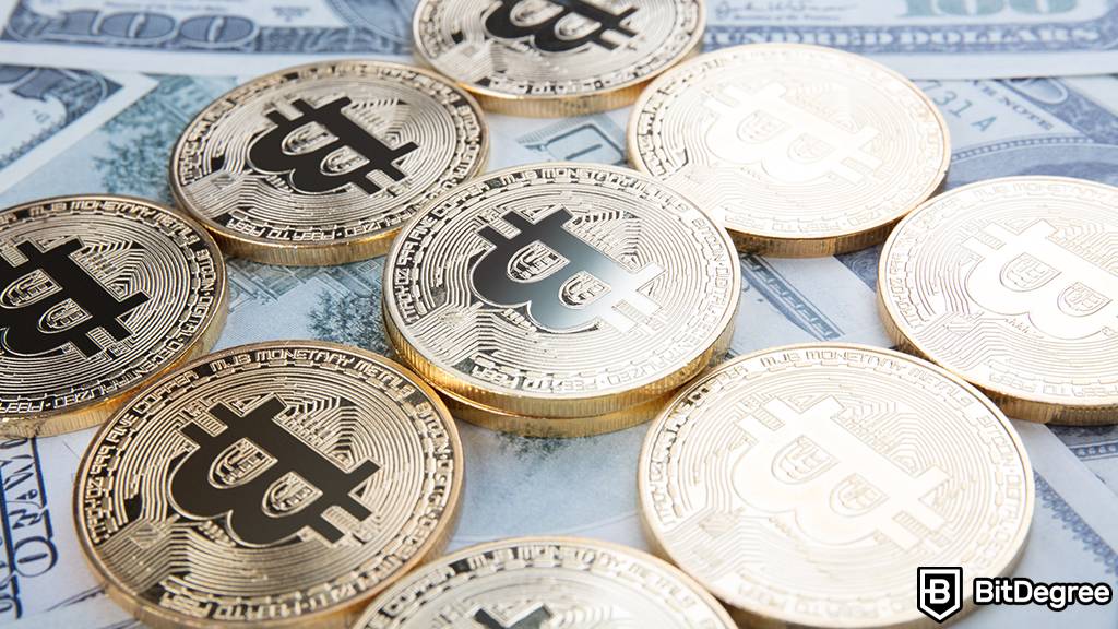 You are currently viewing Bitzlato Allows Users to Withdraw Part of their Funds