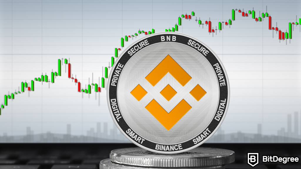 You are currently viewing Blockchain BNB Chain Releases Its BNB Greenfield Testnet