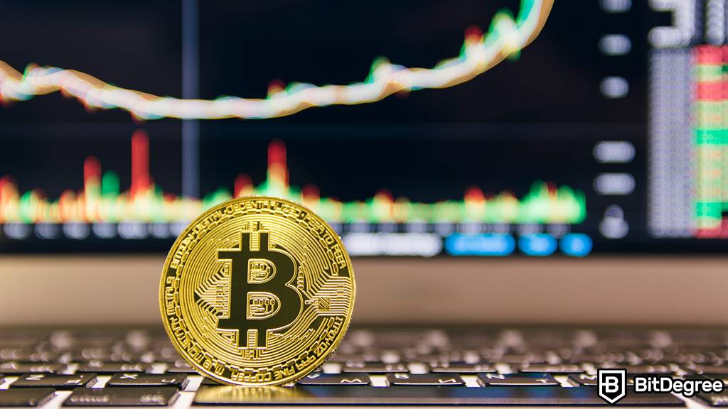 You are currently viewing Liquid Staking Solutions Surpass DEXs in Total Value Locked