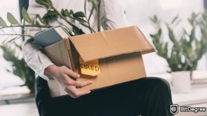 Read more about the article Blockchain Analytics Firm Nansen Lays Off 30% of Its Staff