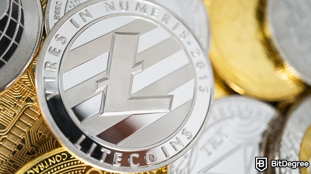 You are currently viewing Litecoin Records Extraordinary Rise in Transaction Volumes