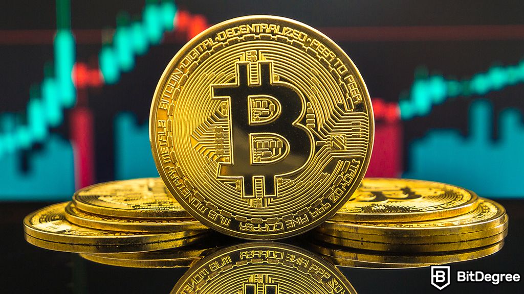 You are currently viewing Voyager May Soon Launch Distributions to Its Creditors