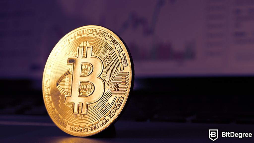 You are currently viewing AI Powers Fed-Bitcoin Analysis Tool by Chain of Demand