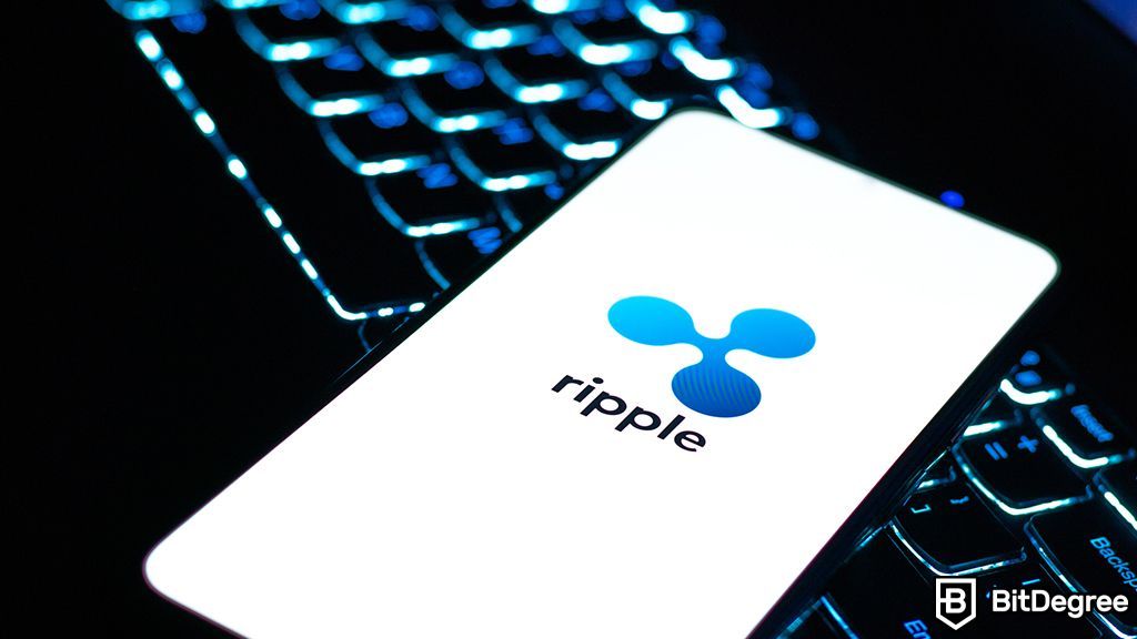 You are currently viewing Ripple CEO Predicts Lengthy SEC Appeal Process in XRP Case