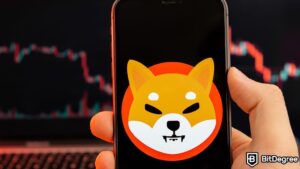 Read more about the article Newly Launched Shibarium Network Resumes Block Generation