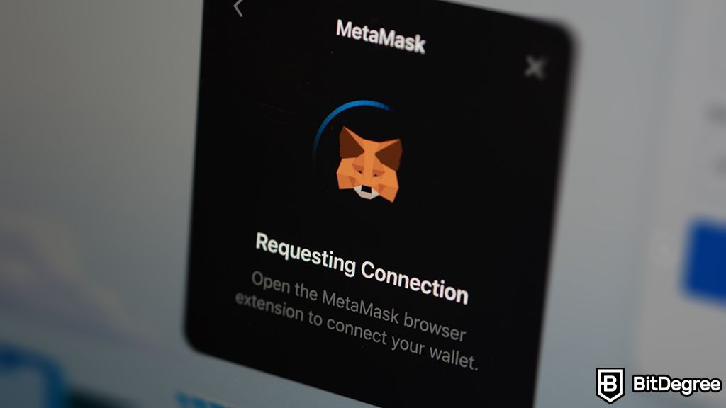 You are currently viewing MetaMask Users Fall Prey to Government Website Exploitation