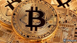 Read more about the article BTC Price Rally Triggers Huge Outflows from Crypto Exchanges