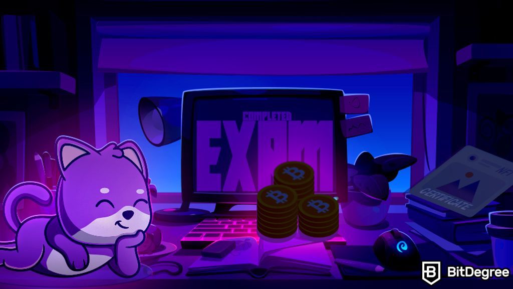 You are currently viewing BitDegree Launches Global Web3 Exam with $500K Prize Pool